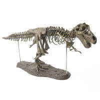 70cm Dinosaur 4D Assembled Bone Blast Dragon Childrens Toy Tyrannosaurus Fossil Skeleton Simulation Animal Teaching Model Decor