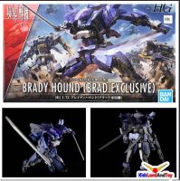 4573102629555 HG 1/72 BRADY HOUND (BRAD EXCLUSIVE)