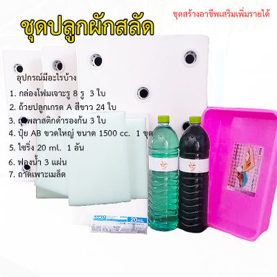 ชุดปลูกผักสลัด ชุดใหญ่ไฟกระพริบโคตรสุดคุ้ม ! ! ( ชุดนี้ไม่มีเมล็ดให้นะคะ ) ( 1 ออเดอร์ สั่งได้ไม่เกิน 1 ชุด )