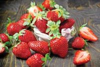 20 เมล็ด Fort Laramie Strawberry เมล็ดสตอเบอร์รี่ ของแท้ 100% สตรอเบอร์รี่ สตอเบอรี สตอเบอรี่ อัตราการงอก 70-80% Strawberry seed