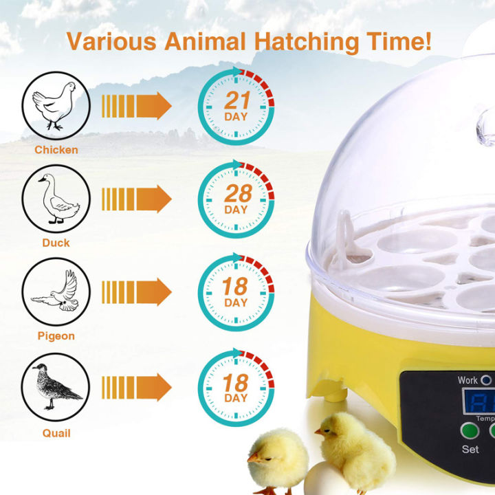 220110v-7-mini-eggs-incubator-อัตโนมัติเปลี่ยน-hatching-brooder-ฟาร์มนกนกกระทาไก่สัตว์ปีกฟาร์ม-hatcher