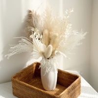 【cw】Natural Reed Pampas Dried Flower Bouquet Home Wedding Decoration Net Celebrity Photography Shooting Props Wholesale ！