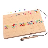 Montessori Materials Digitals 0-10 Numbers Shapes Writing Board Pen Board Toys for Student Handwriting Teaching Aids Training