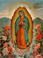 ป้ายดีบุกโลหะวินเทจตกแต่งศิลปะ Virgen De Guadalupe Virgin Mary คาทอลิกสำหรับบ้านบาร์คาเฟ่ฟาร์มโรงรถที่ขายของหรือคลับ X