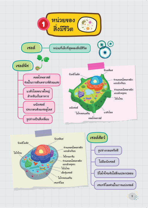 inspal-หนังสือ-super-easy-memory-note-วิทย์-ระดับ-ป-4-5-6-เรียนก็เข้าใจ-สอบยิ่งง่ายเลย