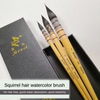 ﹍ Monet Squirrel Hair แปรงสีน้ำระดับมืออาชีพสำหรับการวาดภาพแปรงวาดสีน้ำสัตว์ - ขนสำหรับอุปกรณ์ศิลปะของศิลปิน