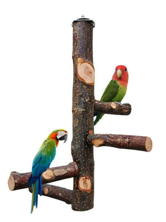 Pet Parrot Raw Wood Fork Tree Branch Stand Rack Toy Parrot Perches For