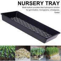 2pcs Seedling Tray Lightweight Seed Starters Portable Mesh Bottom Seedlings Box for Microgreens Soil Blocks Wheatgrass