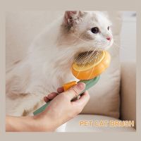 ◄ Pumpkin Cat Brush Comb