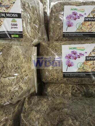 สแฟกนั่มมอส-500-กรัม-sphagnum-moss-500g