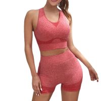 Women gym set Tracksuit Female Clothing Yoga Set Workout Clothes for Women Seamless Leggings Sports Bra Suit High Waist Shorts