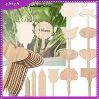 CHIZH 10PCS เป็นมิตรกับสิ่งแวดล้อม เครื่องประดับบอนไซ กระถางเนอสเซอรี่ เครื่องมือปลูก ป้ายไม้ เครื่องหมายสวน ป้ายโรงงานไม้ไผ่