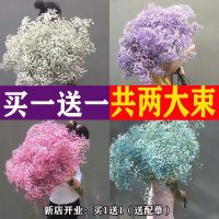 [COD] Paper Wholesale Yunnan Gypsophila Dried Flowers Big Bouquet Office Real Arrangement Small