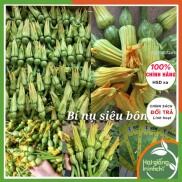 Hạt giống Bí siêu nụF1, gói 3 hạt, rau củ quả trồng ban công, sân thượng