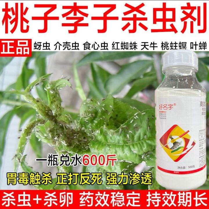 Highefficiency insecticides for peach trees plum trees leaf rollers