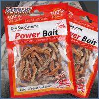 KANNERT 1Pack 2021 Peche Worms สินค้าตกปลา เหยื่อซิลิโคน หนอนทราย หนอนใยแห้ง เหยื่อตกปลา