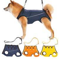 Useful Dog Vest Harness Strong Bearing Pet Supporting Belt Non-Fall Fixed Buckle Portable Soft Pet Leg Harness for Recovery