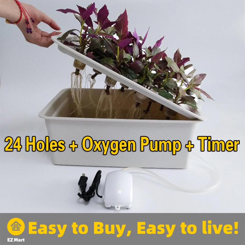 24 Holes Plastic Hydroponic Box Vegetable Plant Soilless Cultivation Germination 