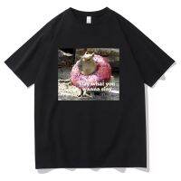 Slay What You Wanna Slay Capybara Donut Graphic Tshirt New Men Fashion Vintage Tees Short Sleeve Funny Male Loose T-shirts XS-4XL-5XL-6XL