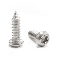 M2 M2.2 M2.6 M3 Stainless Steel Pan Head Torx Self Tapping Screw SS304 Fasteners