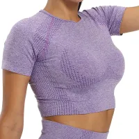 Womens Moisture Wicking Sports Fitness Yoga Clothes Short Sleeve Purple