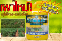 คายีซาเรส (กลูโฟซิเนต-แอมโมเนียม) 4,000 ml.  แบบเผาไหม้ บริษัท ตราหวีทอง