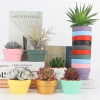 Mini Colorful Pottery Low Round Flower Pot Terracotta Plant Pot Hole Pottery Clay Planters For Cacti And Succulent Plants Bag Accessories