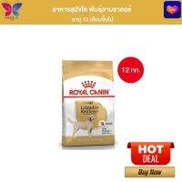 Royal Canin Labrador Retriever Adult 12kg อาหารเม็ดสุนัขโต พันธุ์ลาบราดอร์ รีทรีฟเวอร์ อายุ 15 เดือนขึ้นไป (Dry Dog Food, โรยัล คานิน)