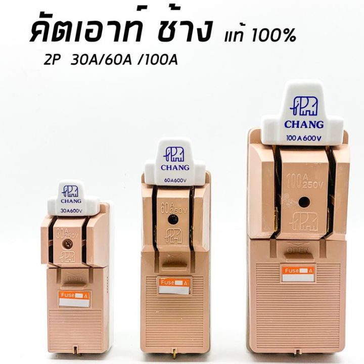 คัตเอาท์-คัทเอาท์-ตราช้าง-chang-2p-30a-60a-100a