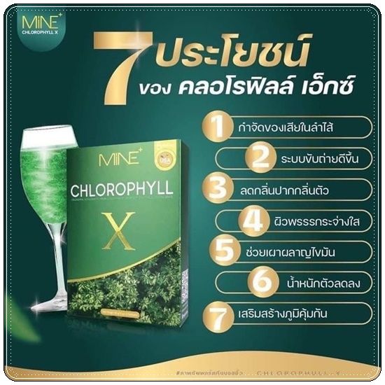 ของแท้100-คลอโรฟิลล์-mine-chlorophyll-x-มายพลัส-พุงแฟ่บบบ-คลอโรฟิลล์มายมิ้น