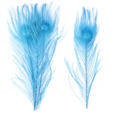 Wholesale 10Pcs/Lot Natural Peacock Feathers for DIY Craft Wedding