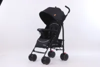 baby first stroller price