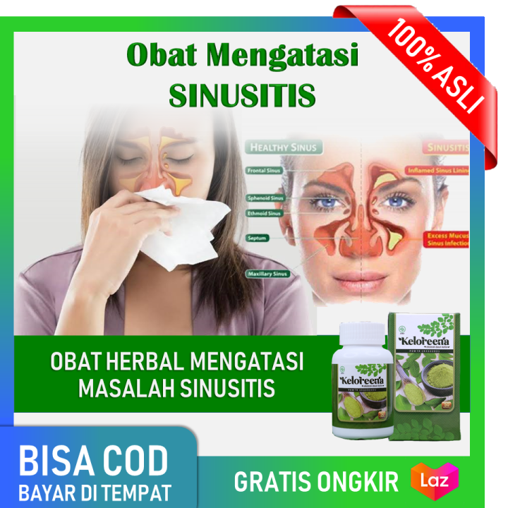 KELOREENA Obat Sinusitis Sinus Flu Pilek Hidung Meler Tersumbat Batuk ...