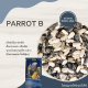 Parrot B (แบ่งขาย 500g.-1kg.) สำหรับนกแก้วขนาดเล็ก-กลาง แฮมสเตอร์