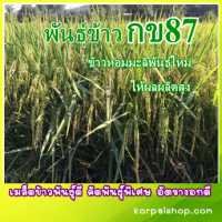 พันธุ์ข้าวกข87 ขนาด1กก.