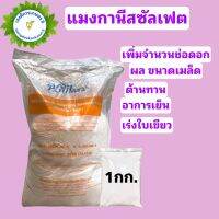 แมงกานีสซัลเฟต 32%  Manganese Sulfate บำรุงใบ บรรจุ 1 กิโลกรัม