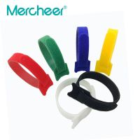 200pcs 12*200mm Reusable with Eyelet Holes back cable tie nylon hook loop fastener