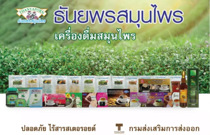 2-ห่อ-พร้อมส่ง-ลูกใต้ใบ-แก้ร้อนใน-ตราธันยพร-บรรจุ20ซอง-1-ห่อ