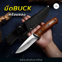 Buck wood มีด มีดกลางแจ้ง มีดแค้มป์ขนาดเล็ก พร้อมซอง  มีดพกพา มีดเดินป่า มีดใบตาย มีดล่าสัตว์ ด้ามไม้แท้