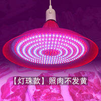 led โคมไฟสดเนื้อสดเย็นอาหารปรุงสุกขายเนื้อสัตว์แผงขายหมูไฟผลไม้ผักอาหารทะเลซูเปอร์มาร์เก็ตอาหารตุ๋นไฟพิเศษ .