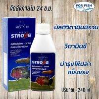 ปลามังกร ปลาหมอสี มัลติวิตามินบีรวม + วิตามินซี ช่วยบำรุงให้ปลาแข็งแรง 240ml Medifish STRONG