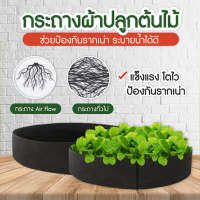 กระถางผ้า กระถางผ้าปลูก กระถางผ้าปลูกต้นไม้ กระถางต้นไม้ ระบบ Air Flow ระบายน้ำได้ดี น้ำไม่ขัง(สีดำ) พร้อมส่ง Best of me - 0300