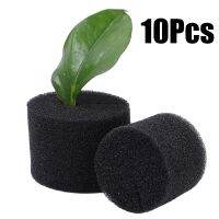 10Pcs/set Seedling Sponge Blocks Soiless Hydroponic Planted Sponge Hydroponics Block Aquaponics Net Pot Gardening Planting Tools