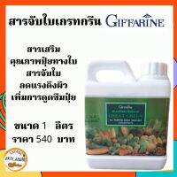 สารจับใบ เกรทกรีน กิฟฟารีน  สารเสริมประสิทธิภาพเพิ่มการดูดซึม ปรับสภาพน้ำ ช่วยให้ดินร่วนซุย ให้ปุ๋ยและ สารเคมีละลายได้ดีขึ้น