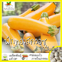 เมล็ดพันธุ์ ฟักทองสควอซ ซูกินี่สีเหลือง 20 เมล็ด Golden Zucchini Squash Seed เมล็ดพันธุ์แท้100%นำเข้าจากต่างประเทศ ปลูก