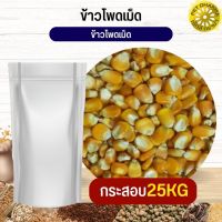 ข้าวโพดเม็ด corn kernels อาหารนก กระต่าย หนู กระต่าย กระรอก ชูก้า และสัตว์ฟันแทะ สะอาดได้คุณภาพ (กระสอบ 25KG)