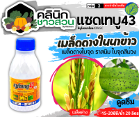 ? แซดเทบู (ทีบูโคลนาโซน) บรรจุ 500ซีซี ป้องกันเชื้อรา โรคราน้ำค้าง เมล็ดด่าง ใบจุด ใบขีด