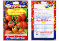 เมล็ด มะเขือเทศ ซุปเปอร์เรด ( Super Red 84 F-1 Tomato) บรรจุ 50 เมล็ด ความงอก 85% ติดผลดกมาก รสชาติดี