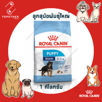 Royal Canin อาหารลูกสุนัข พันธุ์ใหญ่ ชนิดเม็ด (MAXI PUPPY) 1 กก.