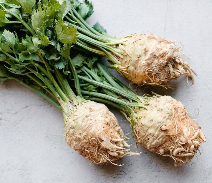 รากผักชีฝรั่ง-celeriac-seed-เมล็ดพันธุ์รากผักชีฝรั่ง-บรรจุ-20-เมล็ด-10บาท